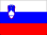 Slovenske strani