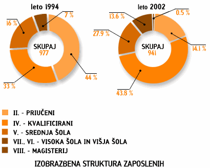 Izobrazbena struktura zaposlenih