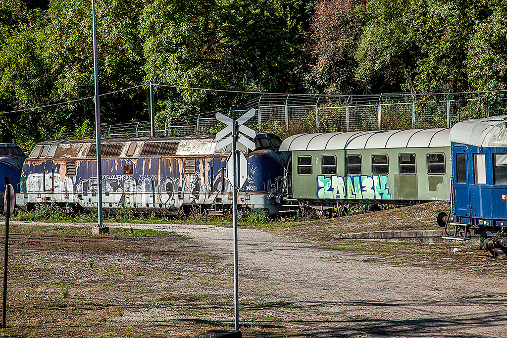 Slika
